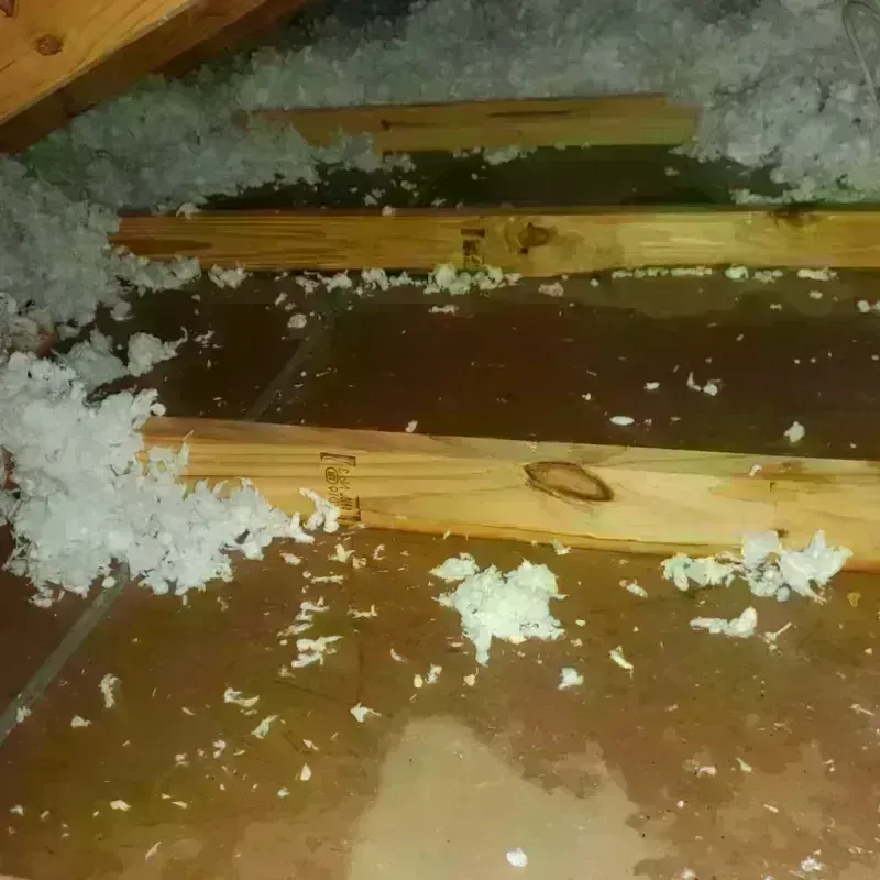 Attic Water Damage in Northwoods, MO