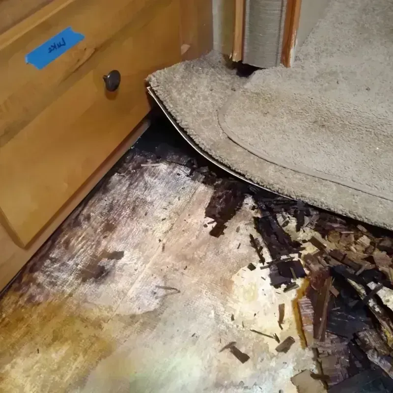 Wood Floor Water Damage in Northwoods, MO